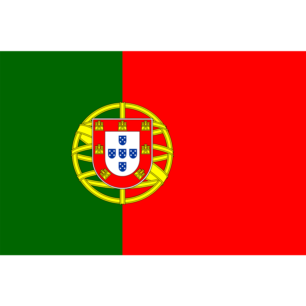 BANDEIRA 1,50MTS X 1MTS